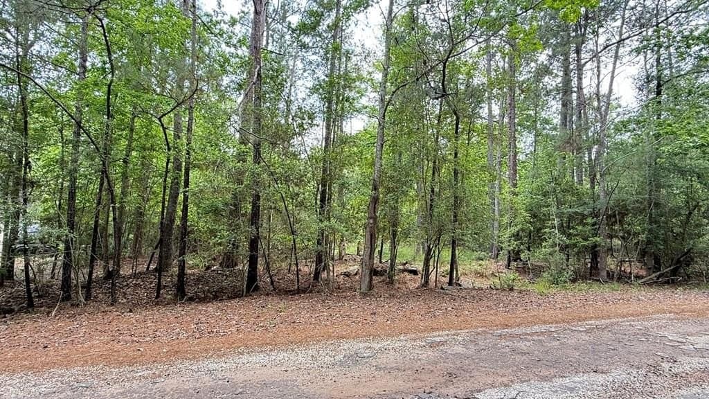 0.23 acres in Texas County
