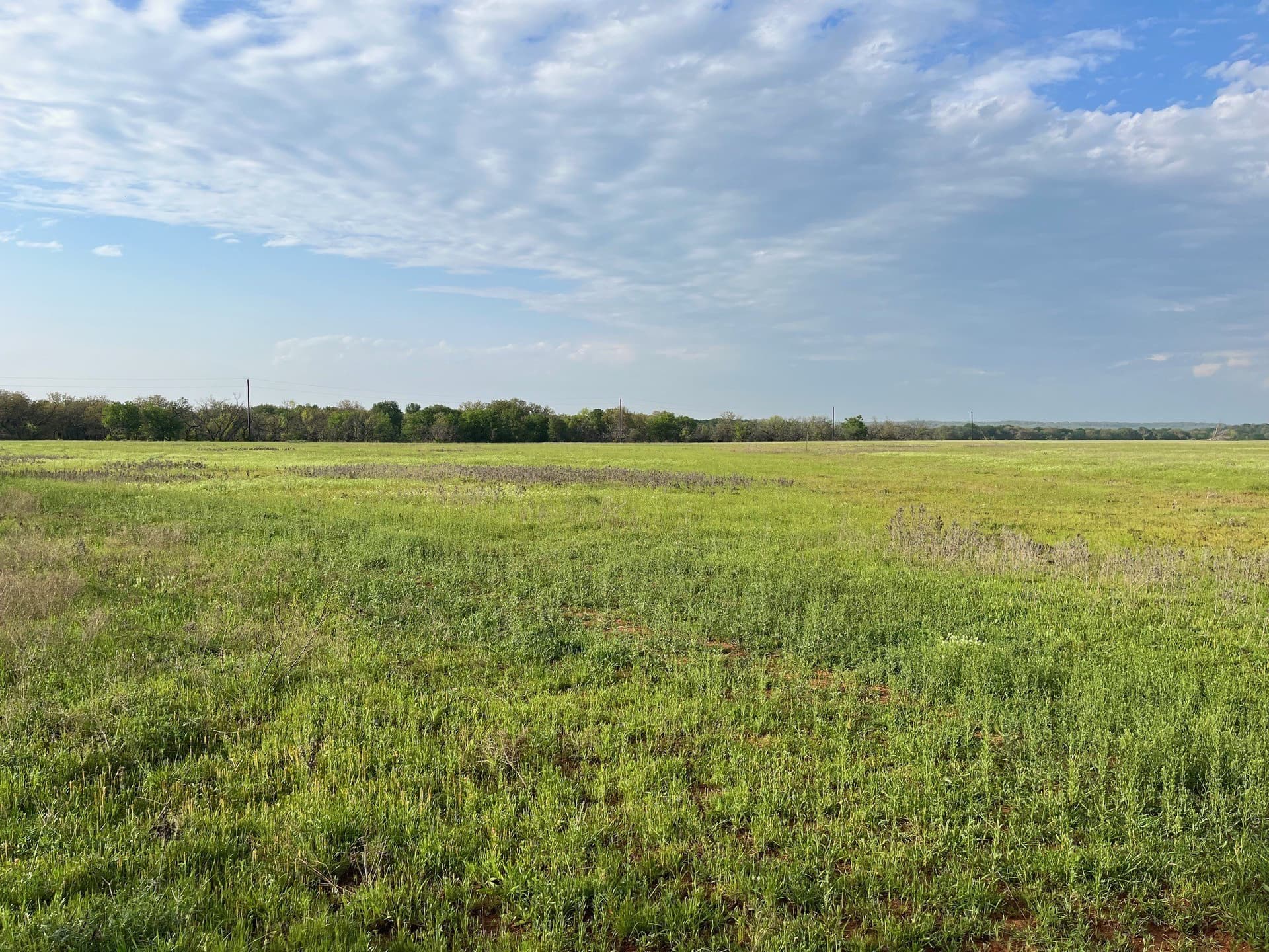 34.1 acres in Young County