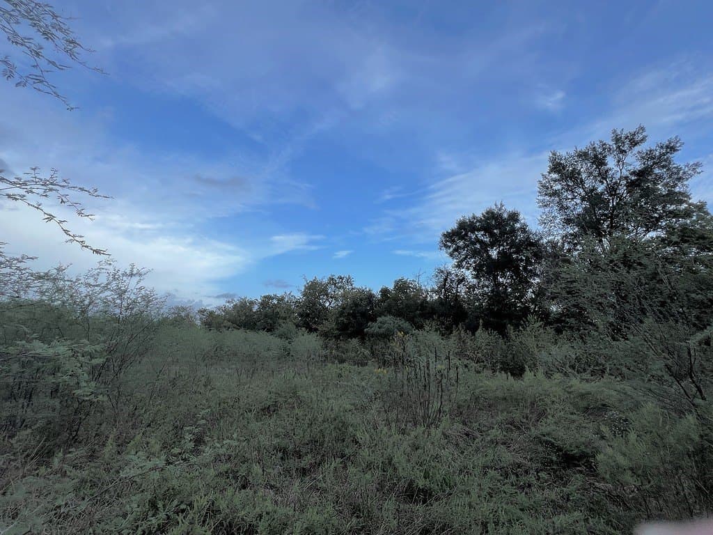15.05 acres in Austin County