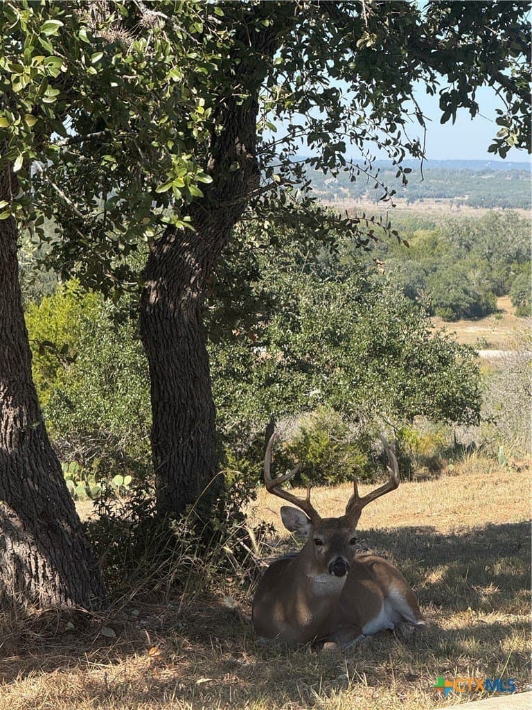 1.31 acres in Comal County