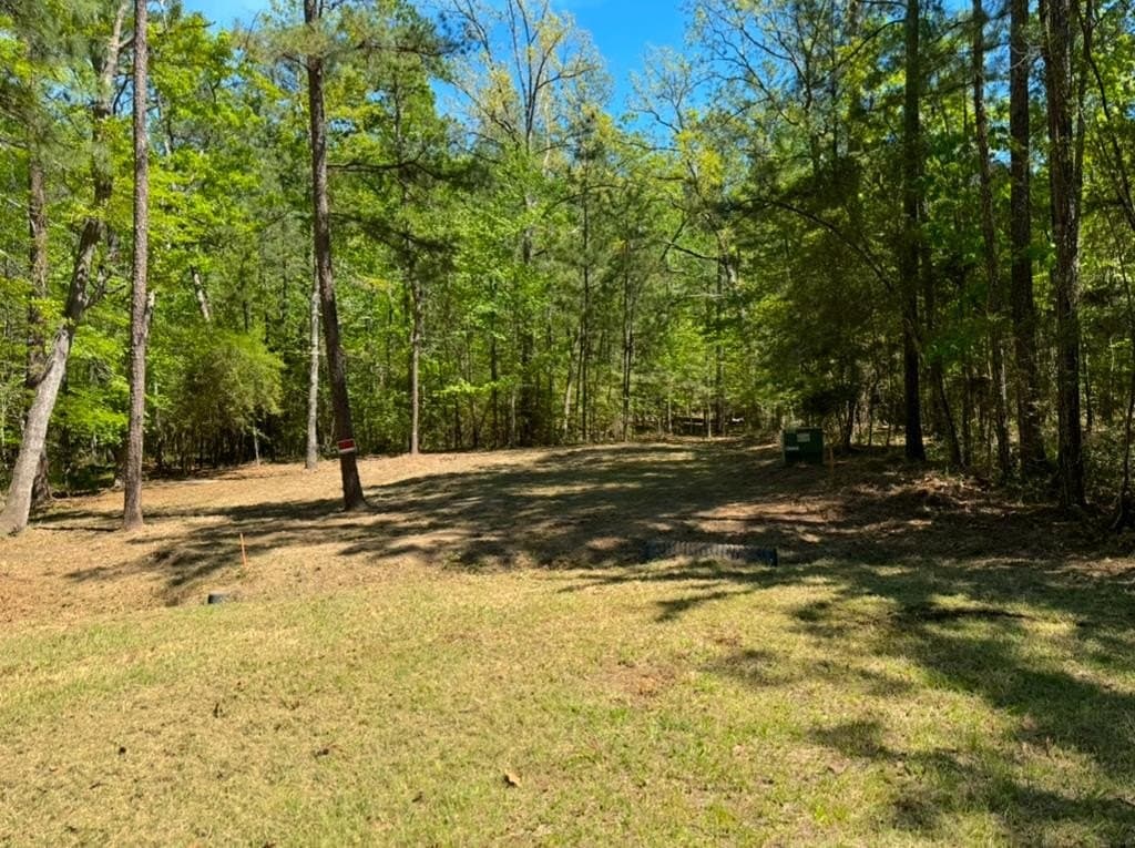 0.46 acres in Texas County