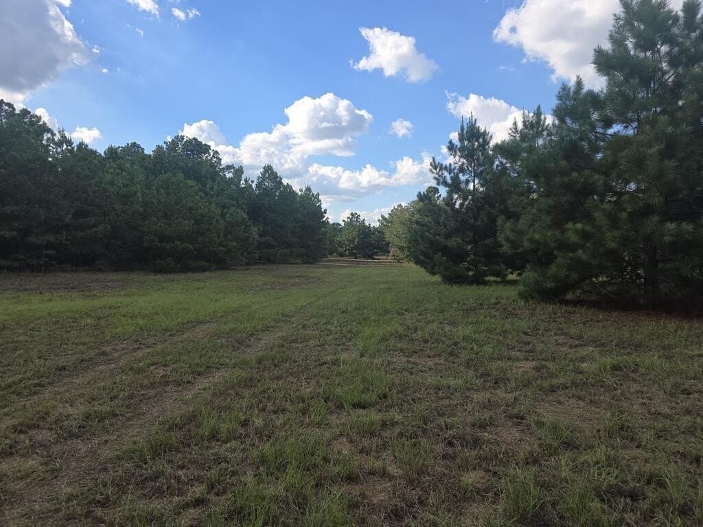 27.82 acres in Texas County