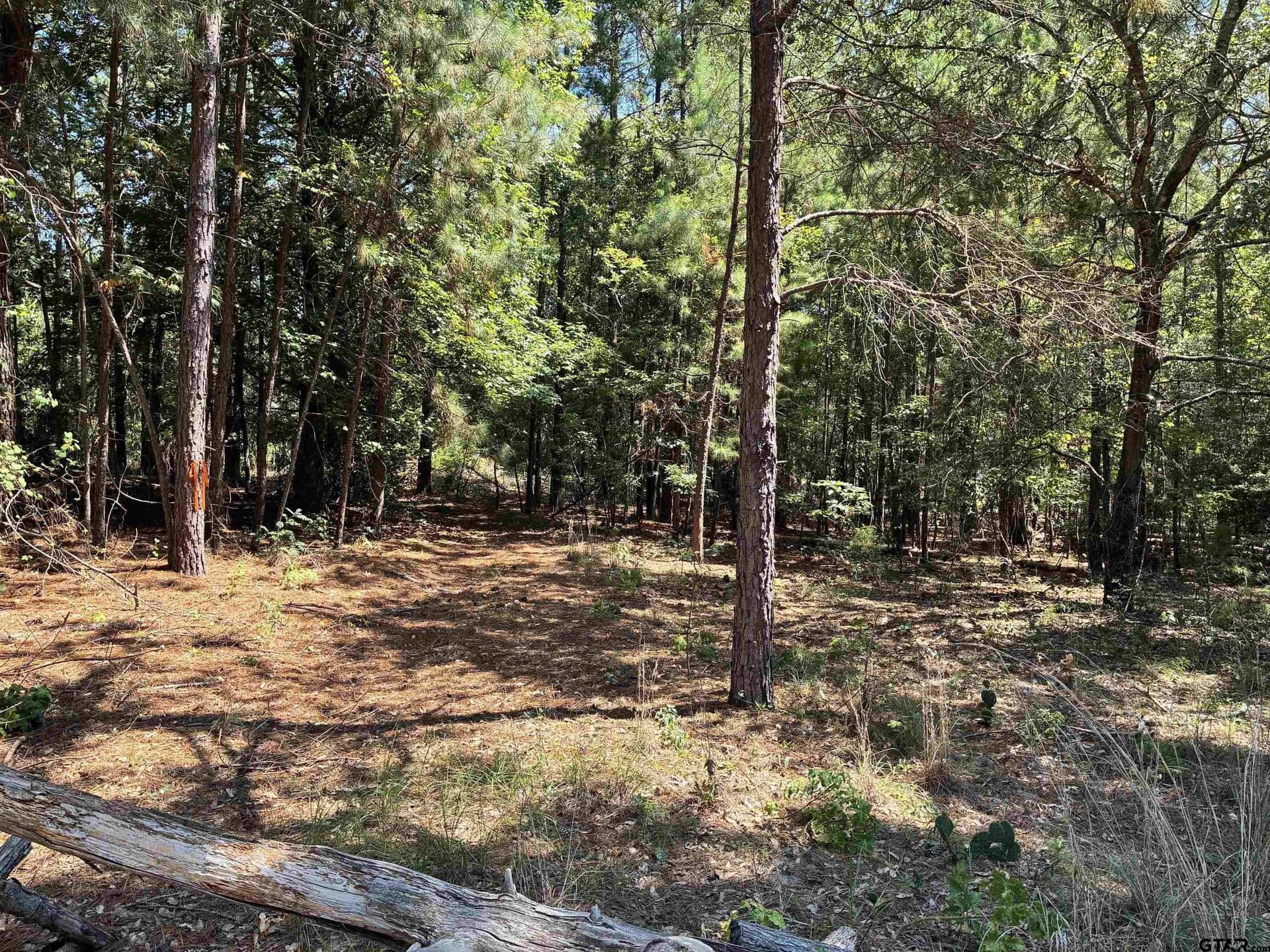0.34 acres in Wood County