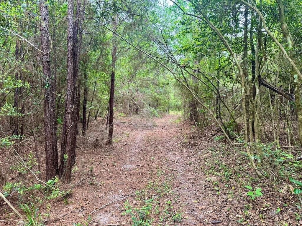 17 acres in Texas County