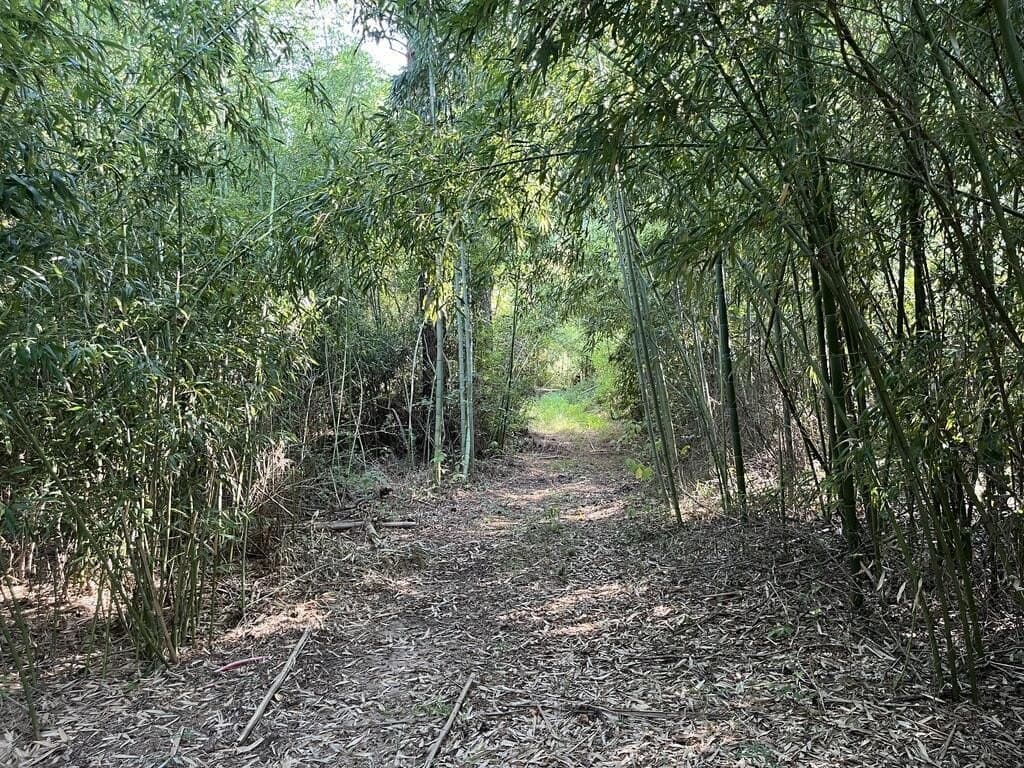 5.6 acres in Texas County