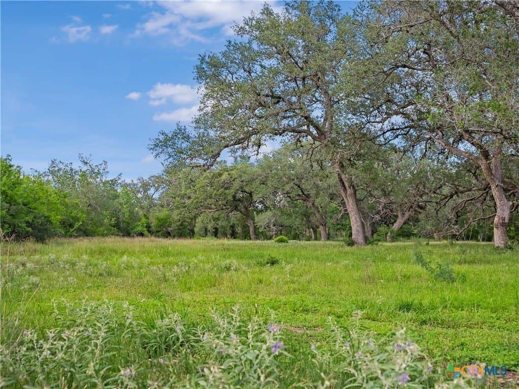 23.88 acres in Victoria County