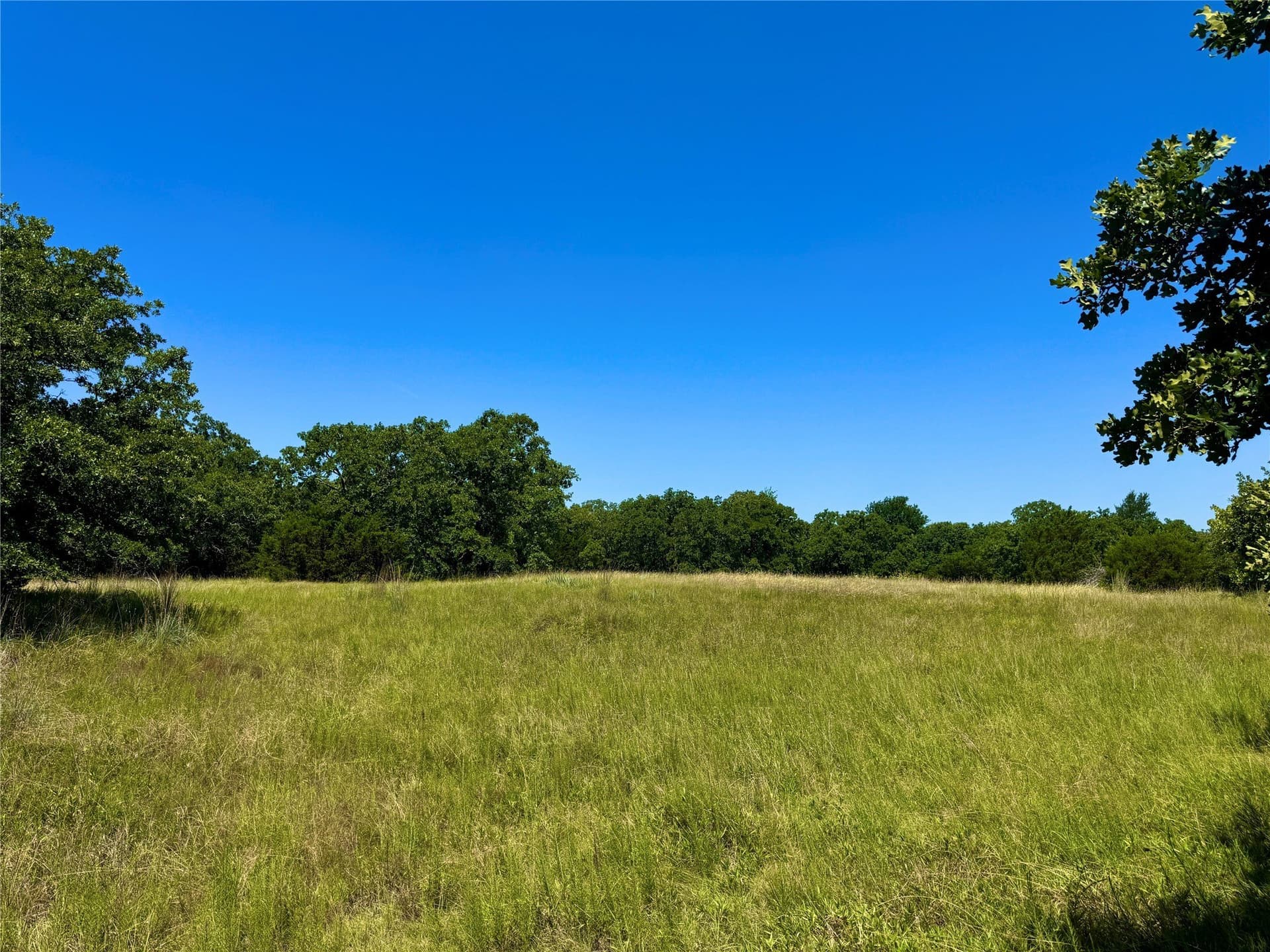 10.01 acres in Parker County