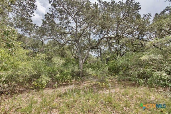 16.09 acres in Jackson County