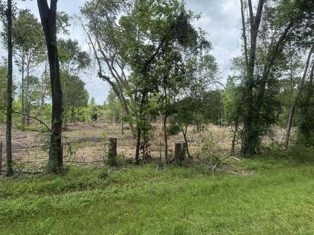 15 acres in Texas County