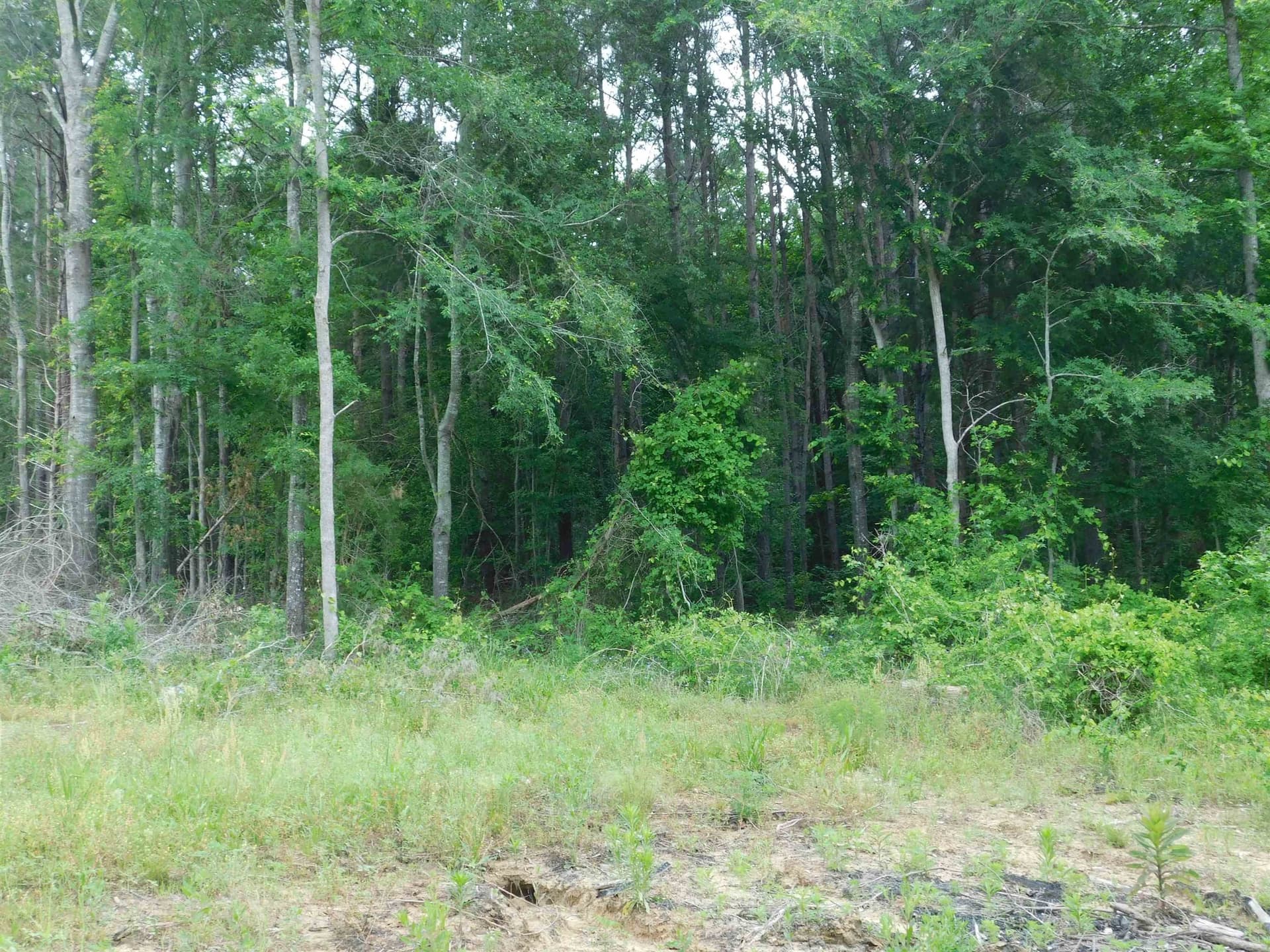 0.71 acres in Texas County
