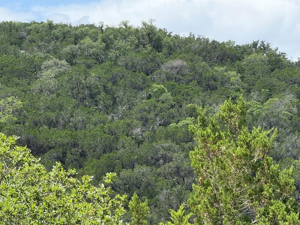 31.77 acres in Bandera County