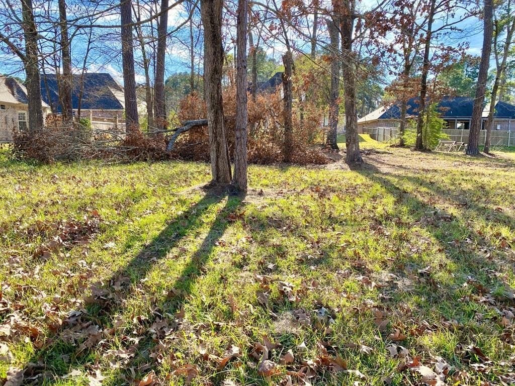 0.27 acres in Texas County