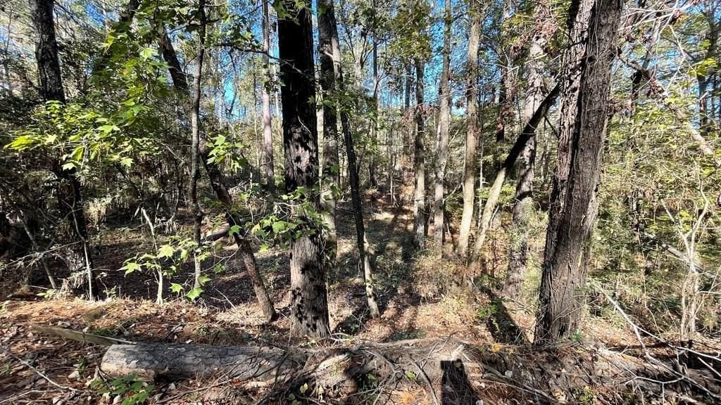 0.56 acres in Texas County
