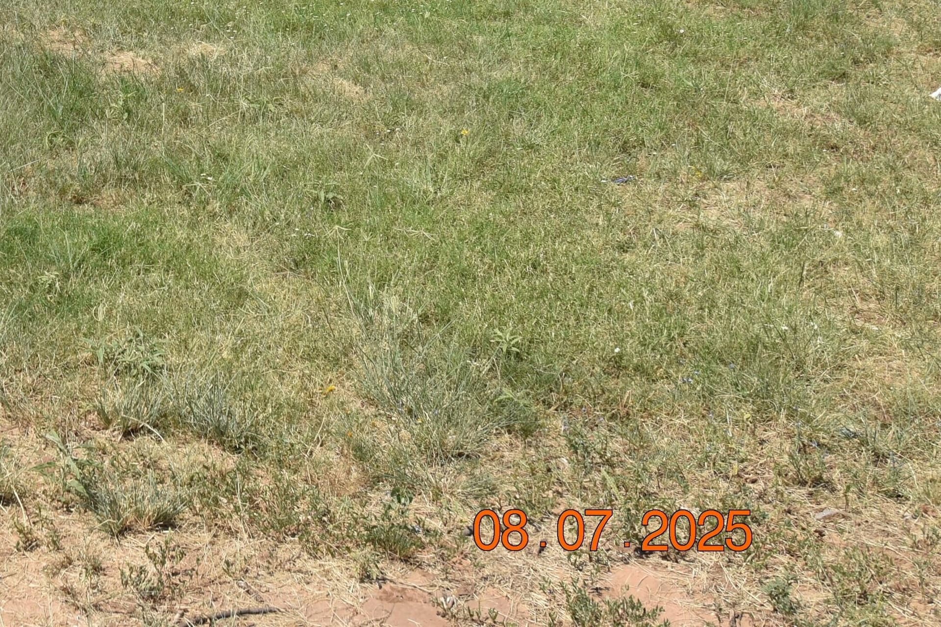 0.13 acres in Lubbock County