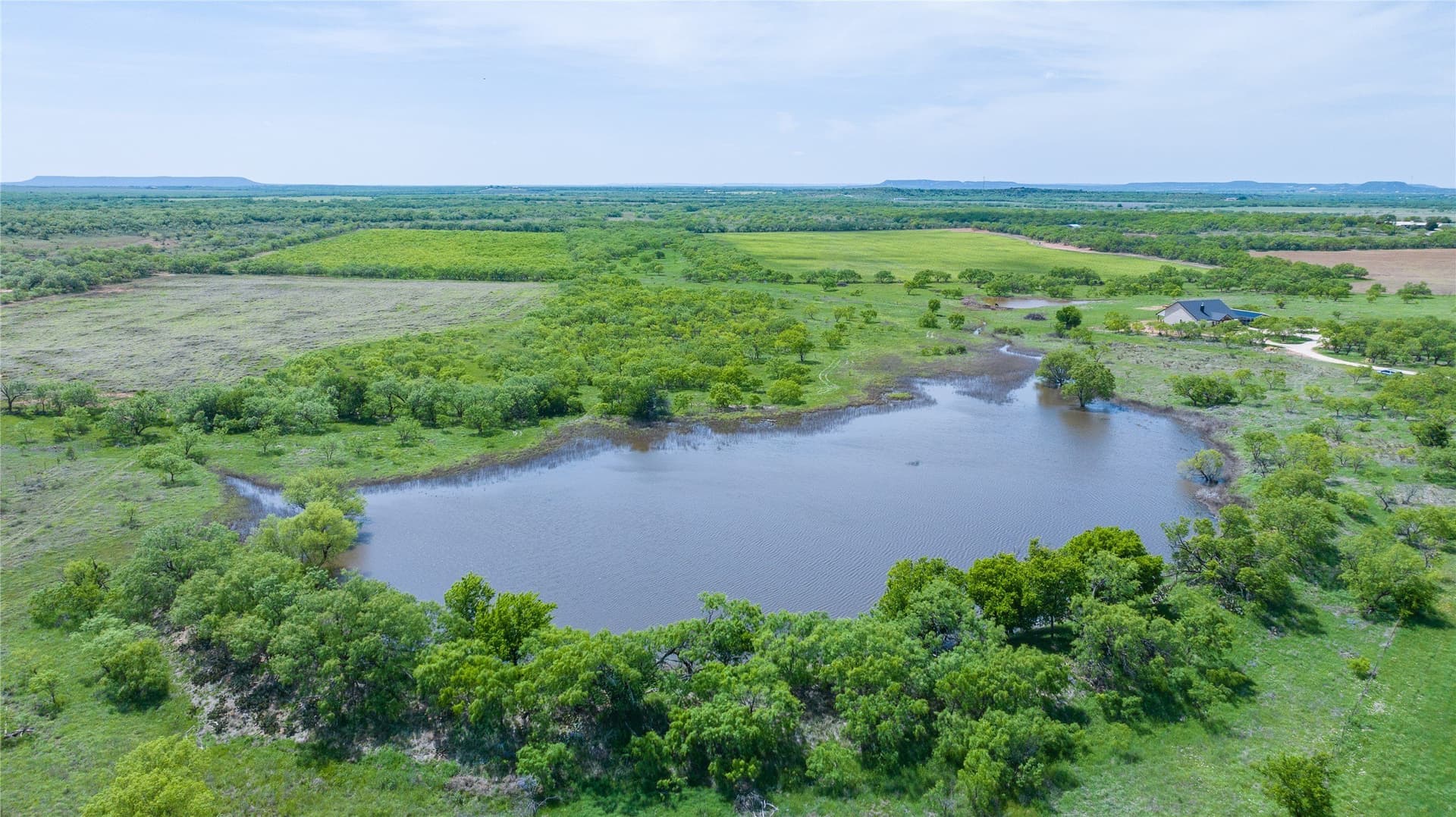 46.54 acres in Taylor County
