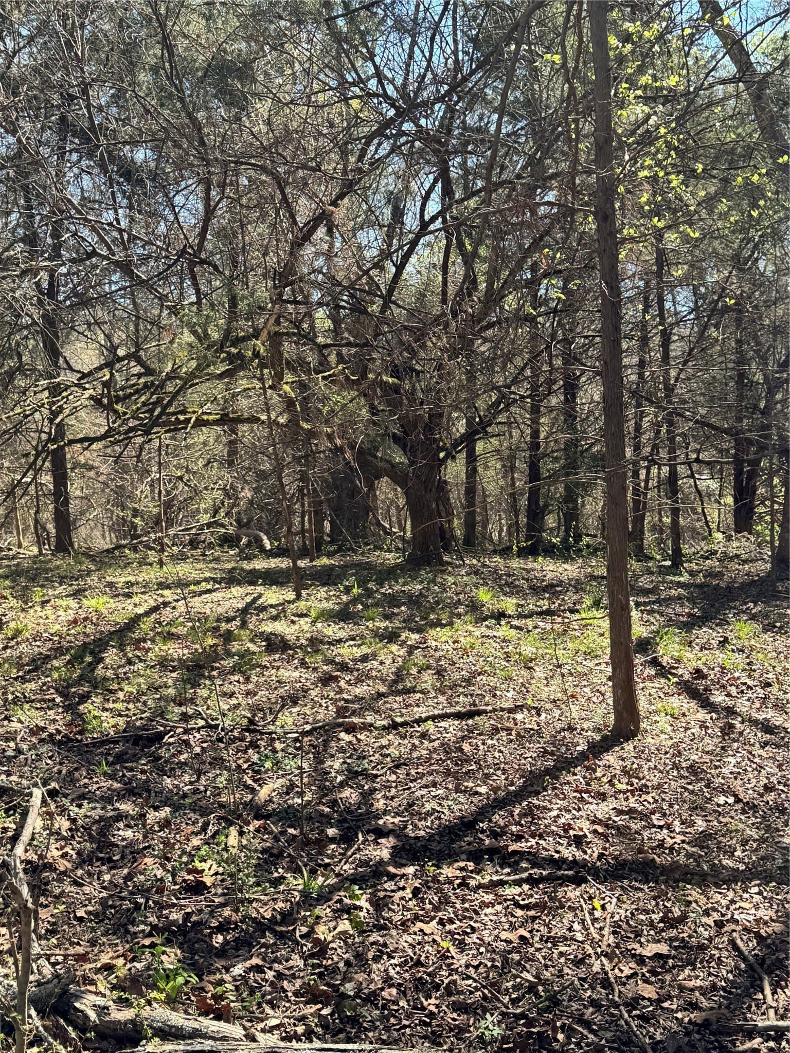 31 acres in Smith County
