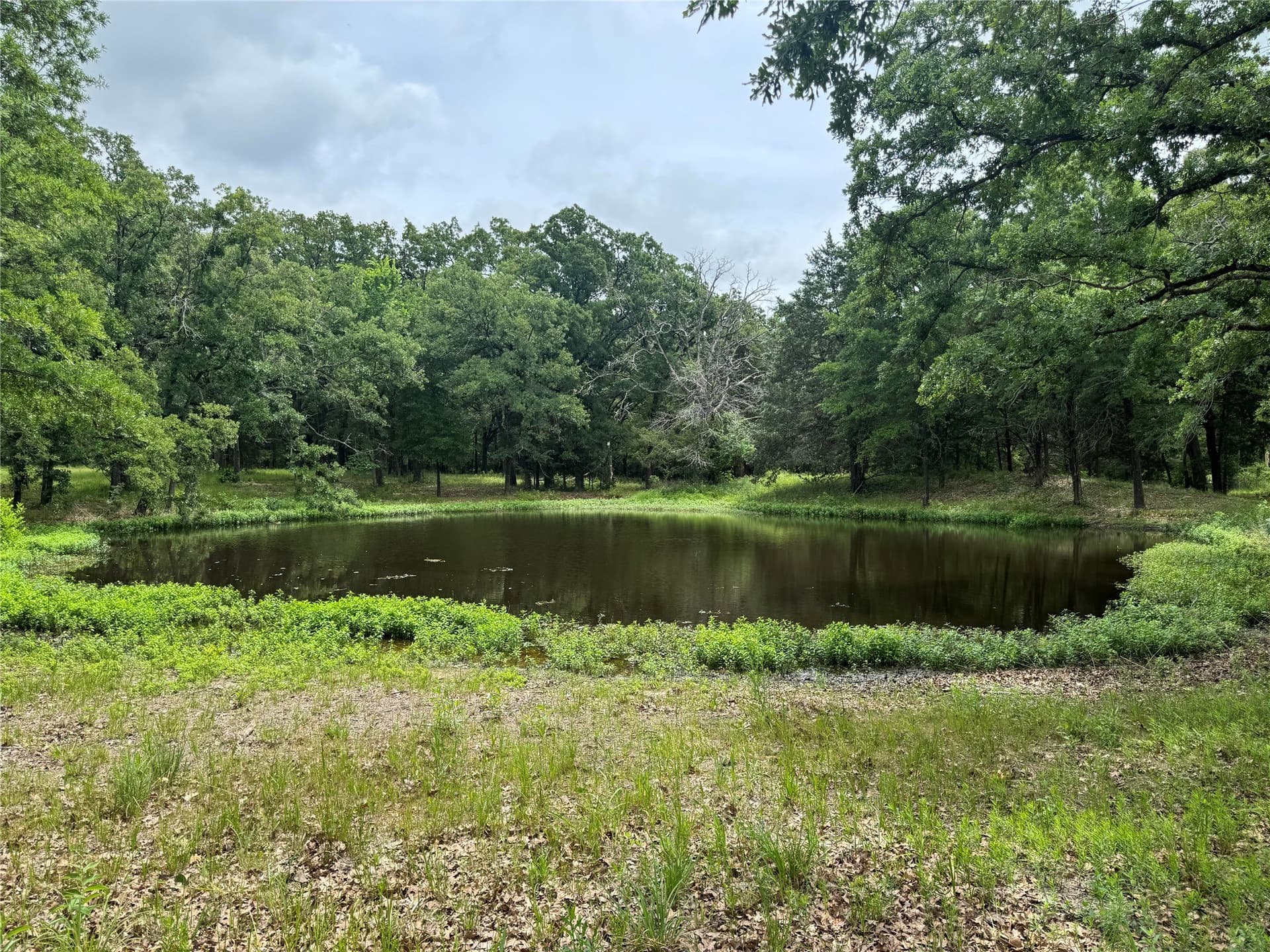 6.54 acres in Kaufman County