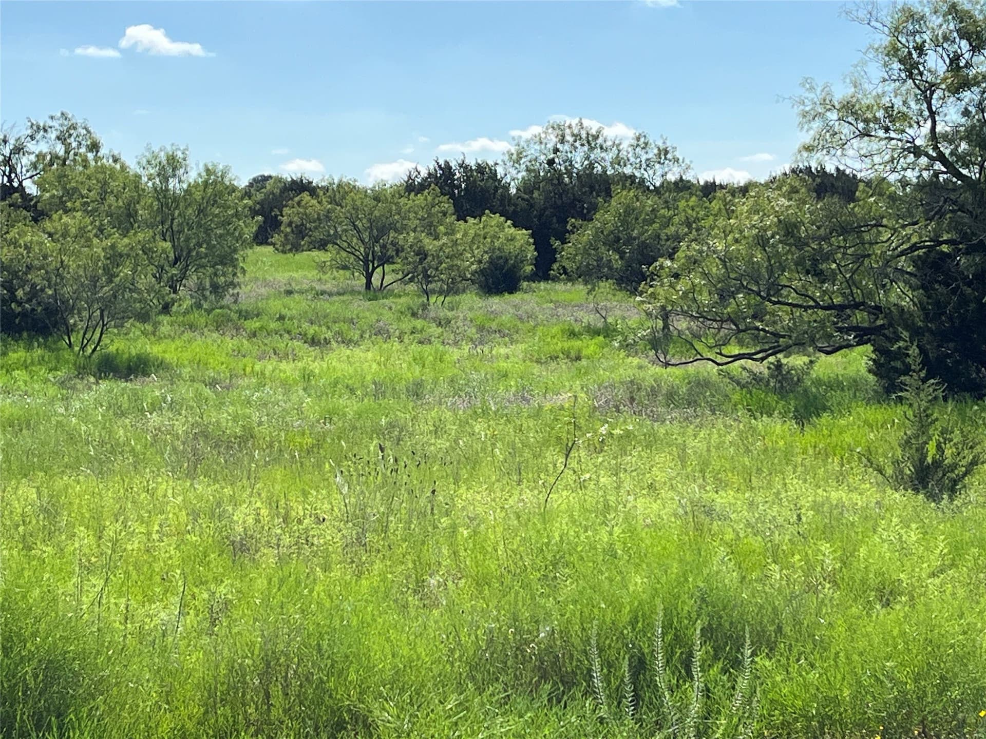 122.81 acres in Lampasas County