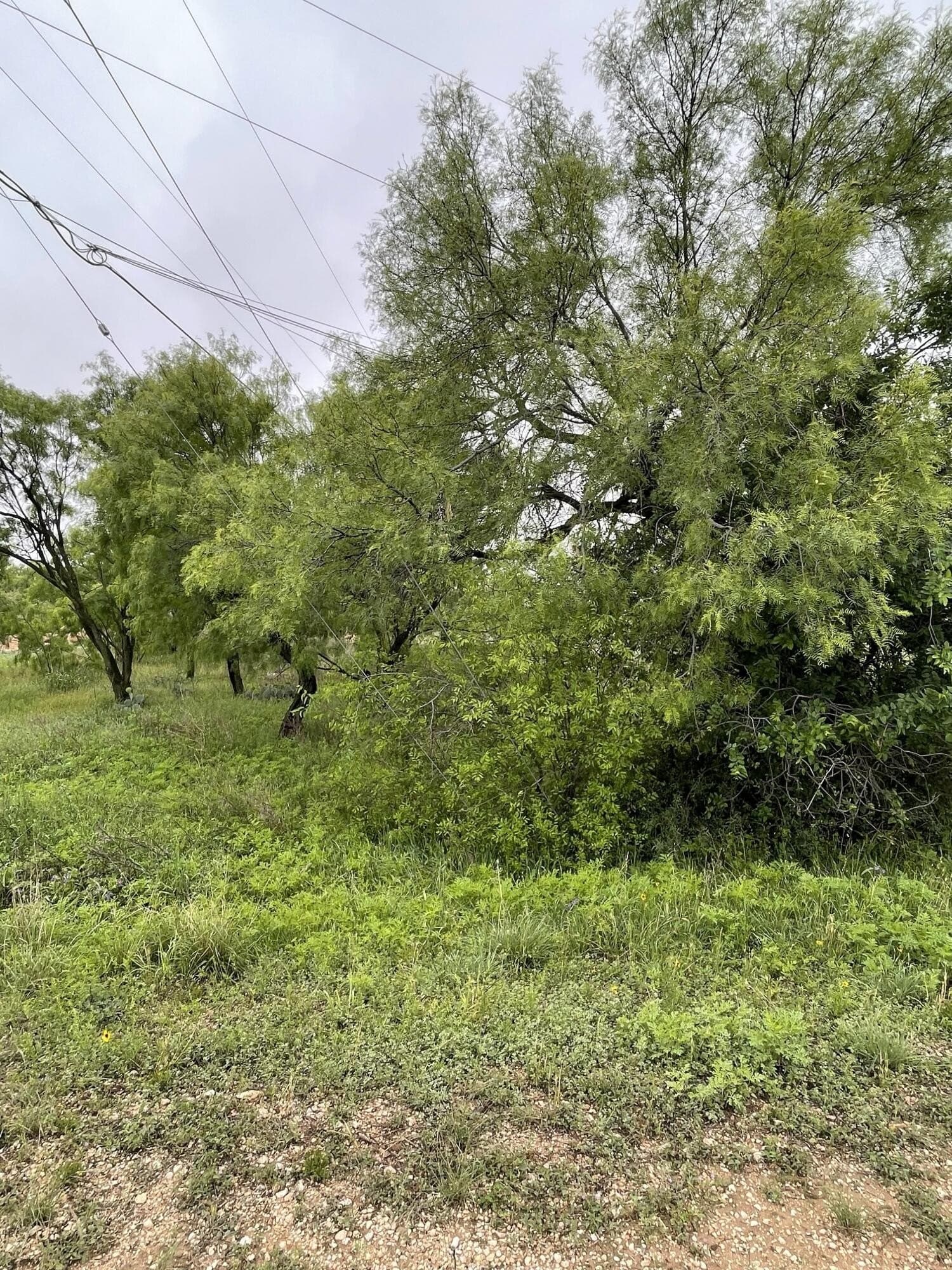 0.17 acres in Tom Green County