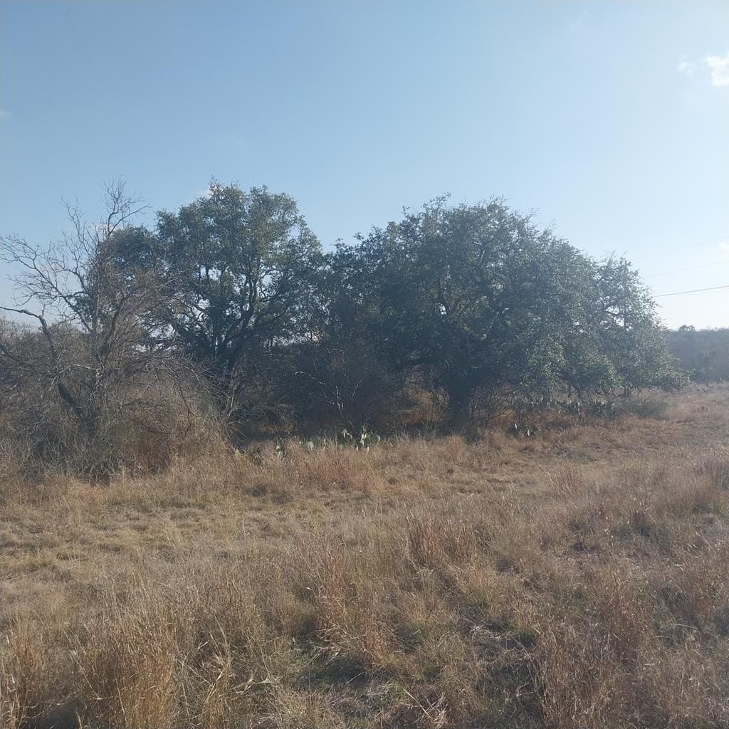 35 acres in Llano County
