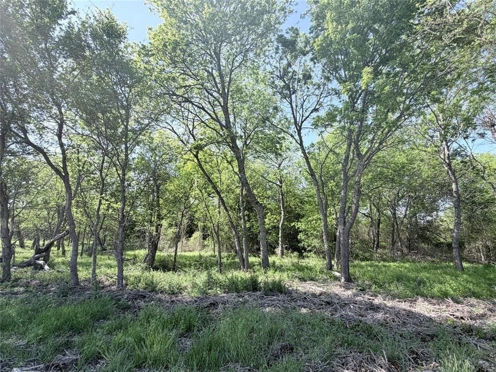 10 acres in Hill County