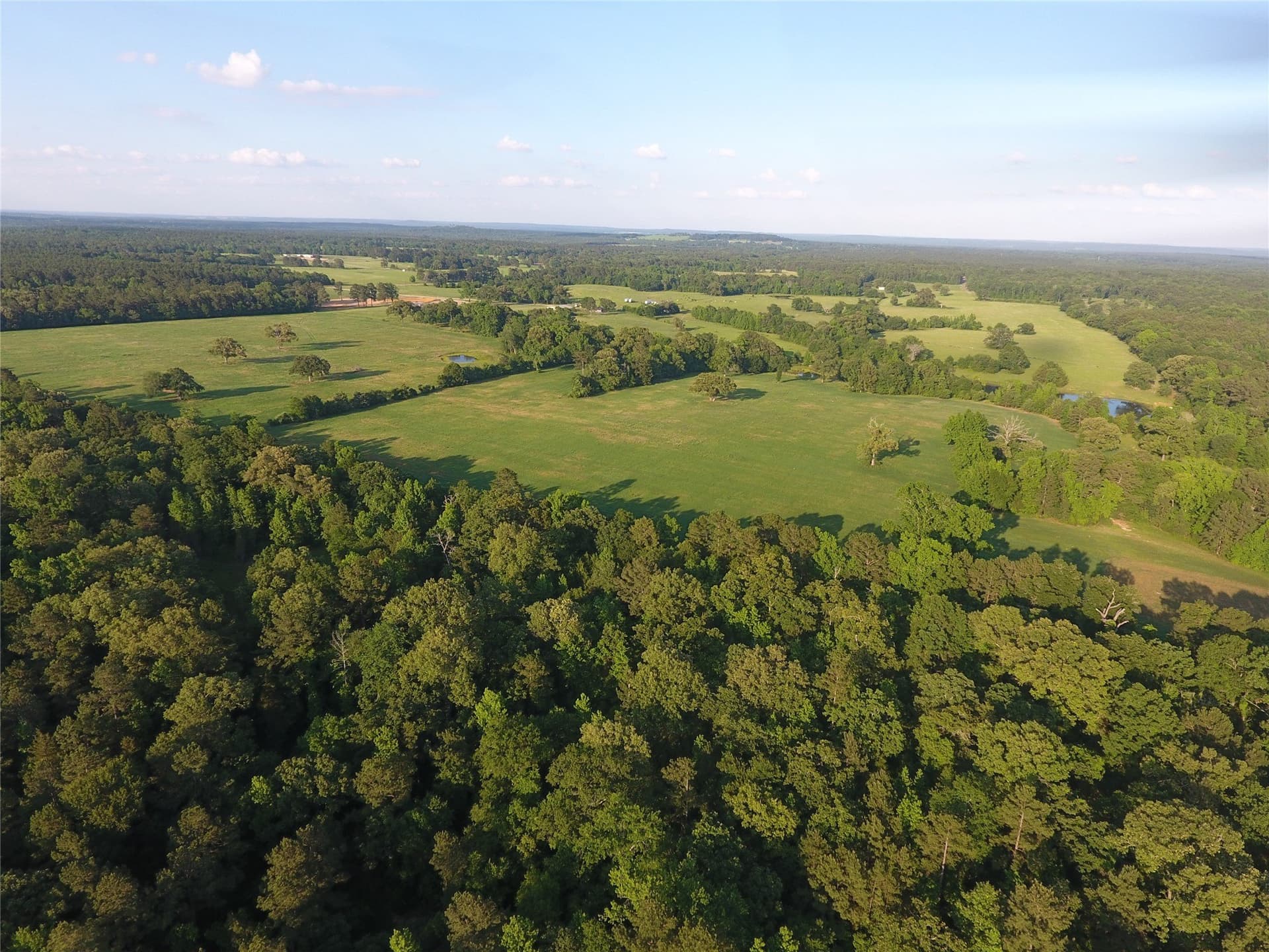 99.06 acres in Anderson County