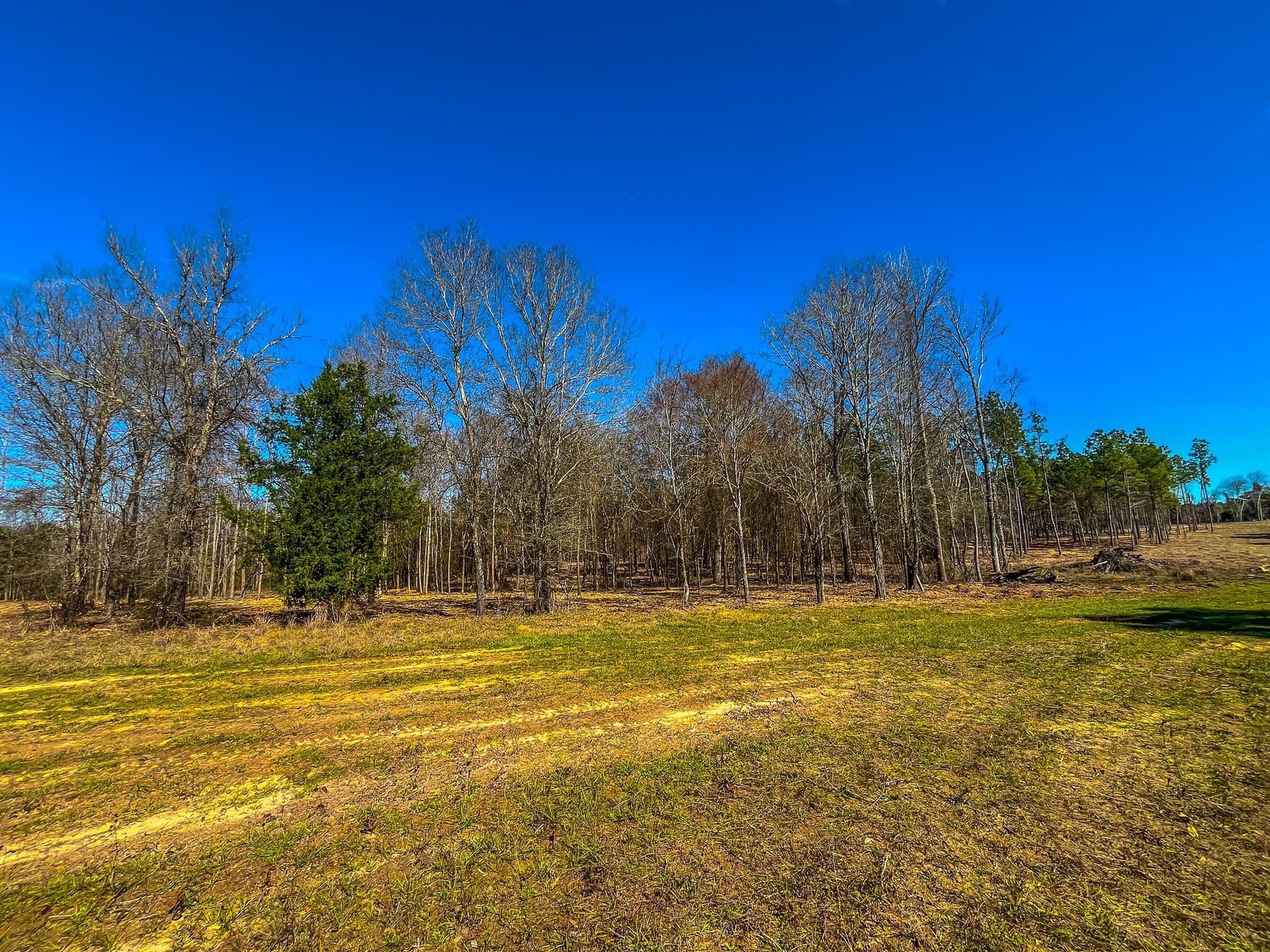 11.63 acres in Cherokee County