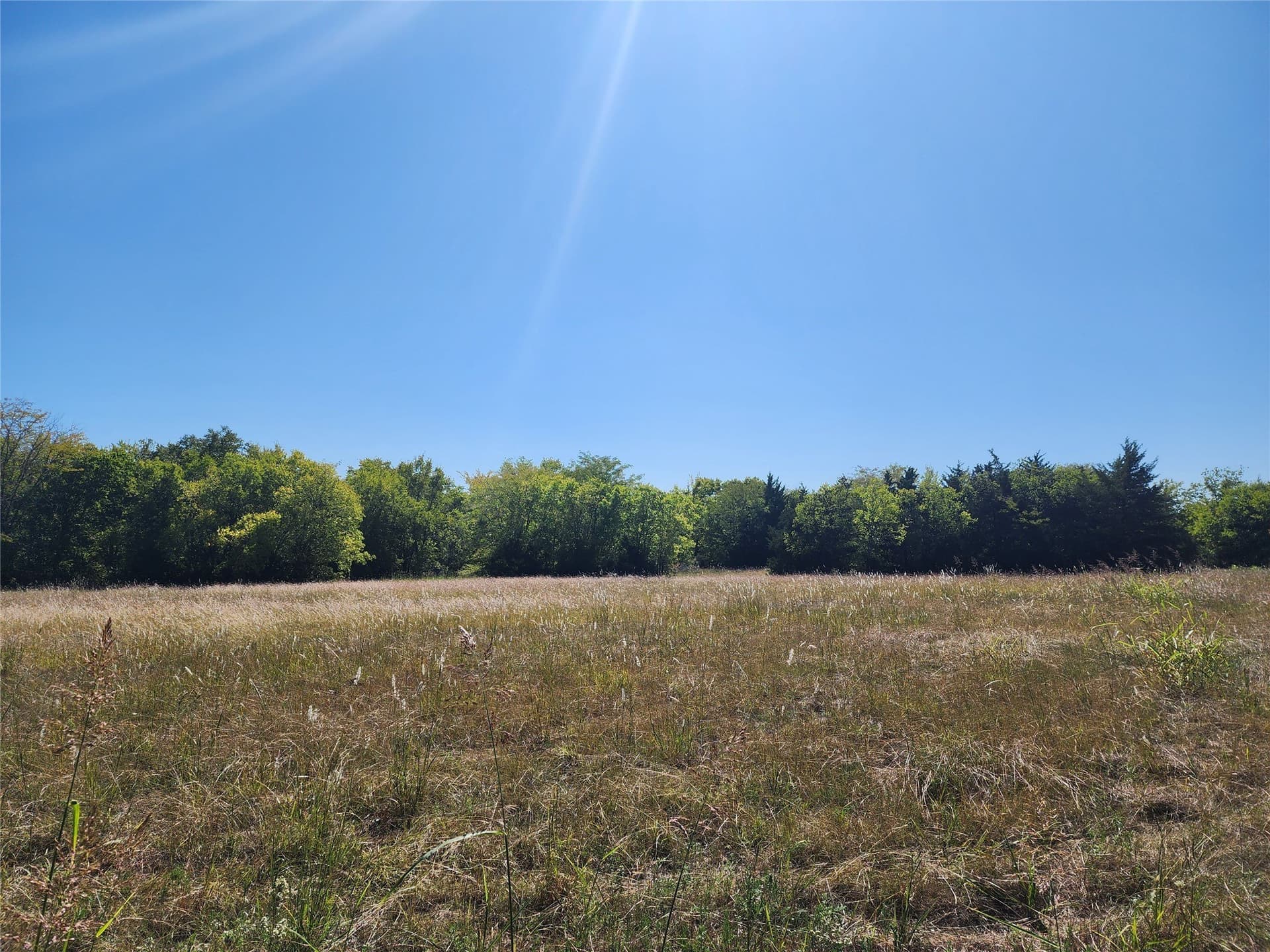 6 acres in Rockwall County