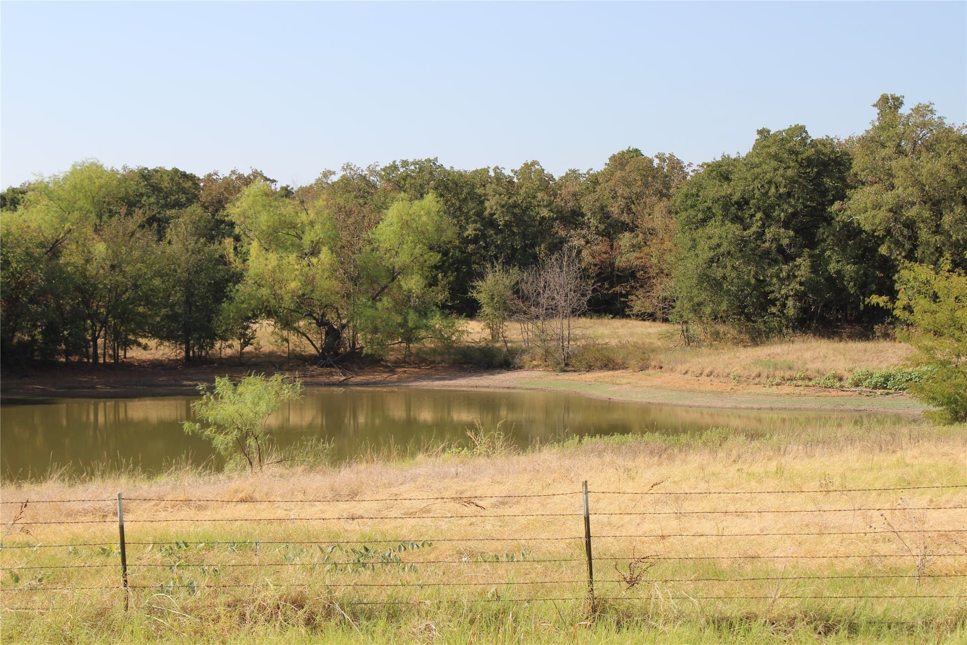 20 acres in Wise County