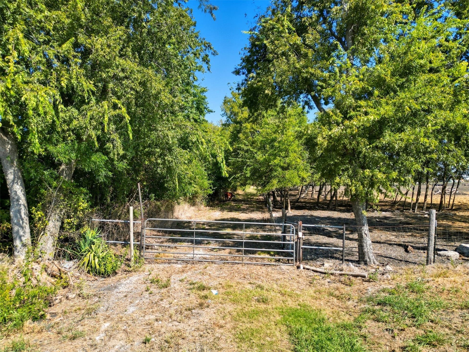 13.55 acres in Hunt County