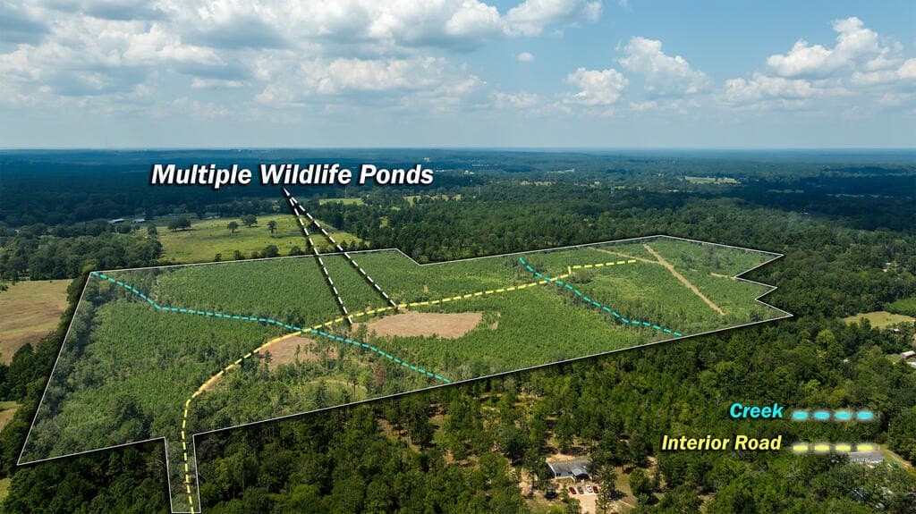 74.32 acres in Texas County