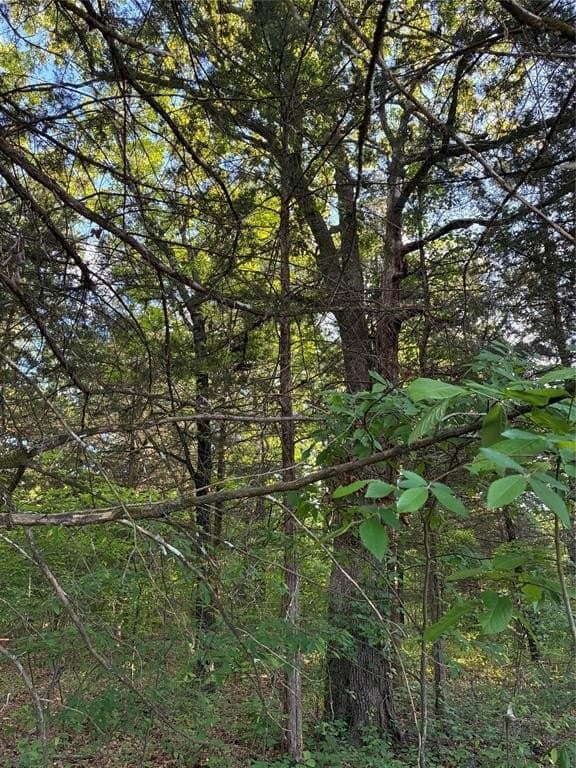 0.29 acres in Fannin County