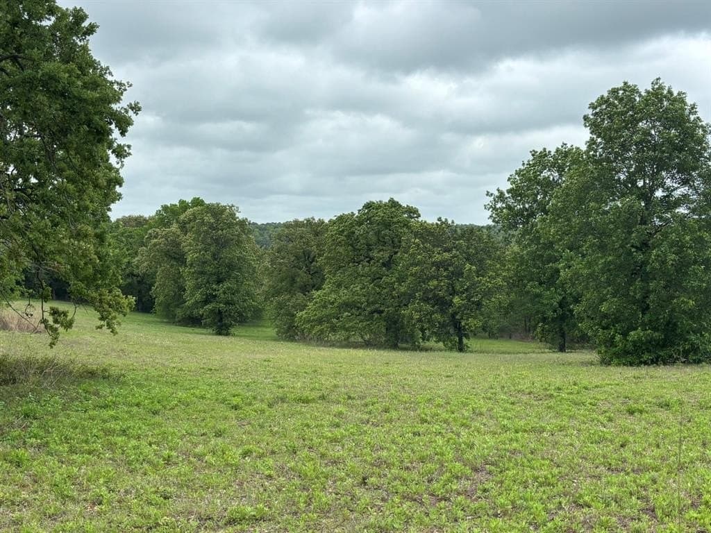 10.82 acres in Henderson County
