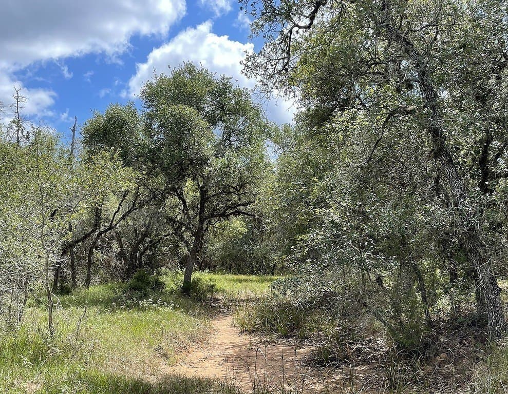 166 acres in Gonzales County
