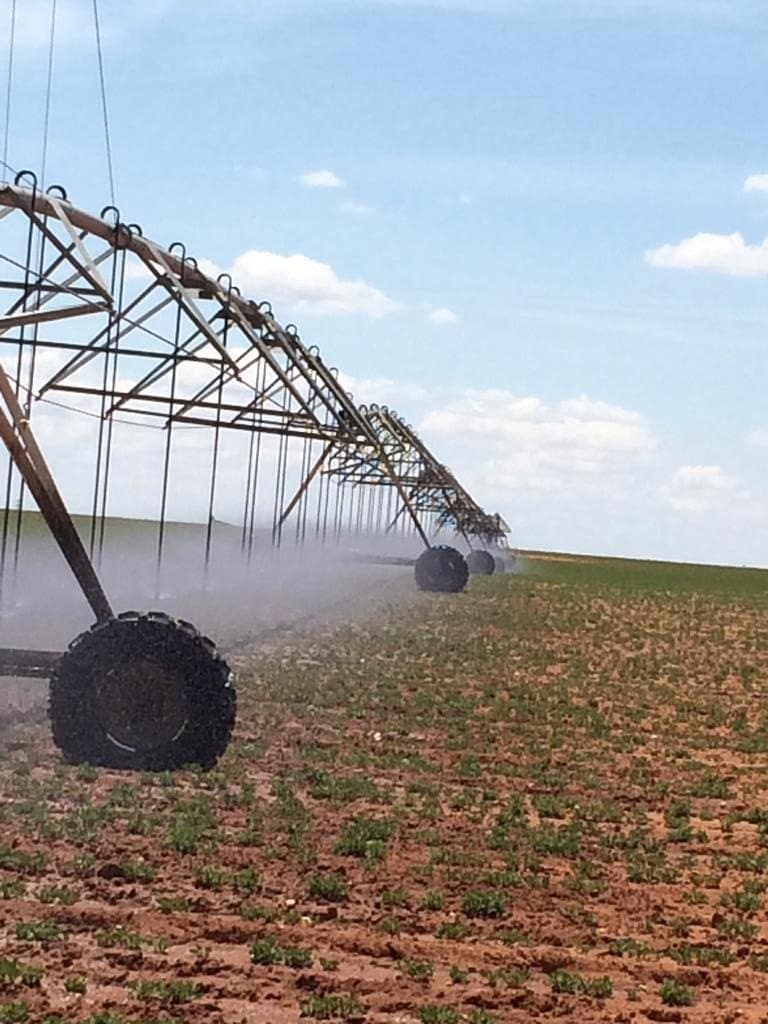 320 acres in Yoakum County