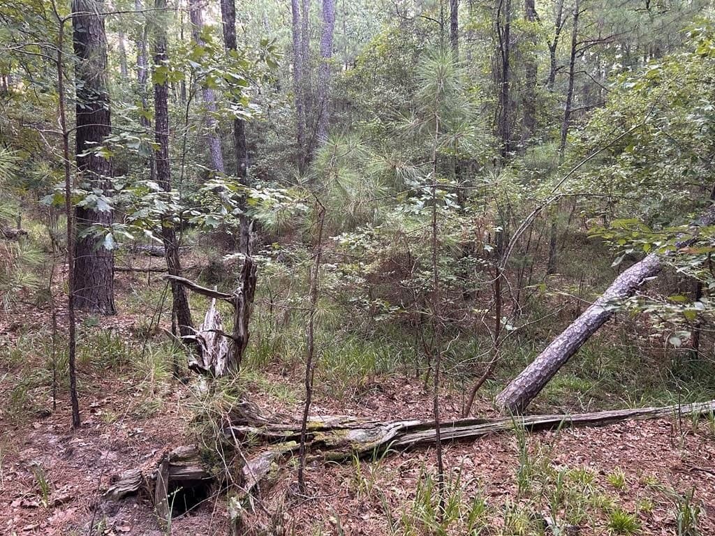 0.25 acres in Texas County