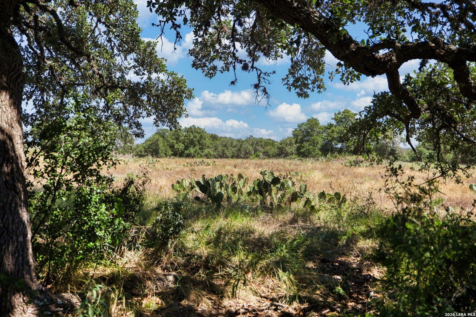 3.59 acres in Gillespie County