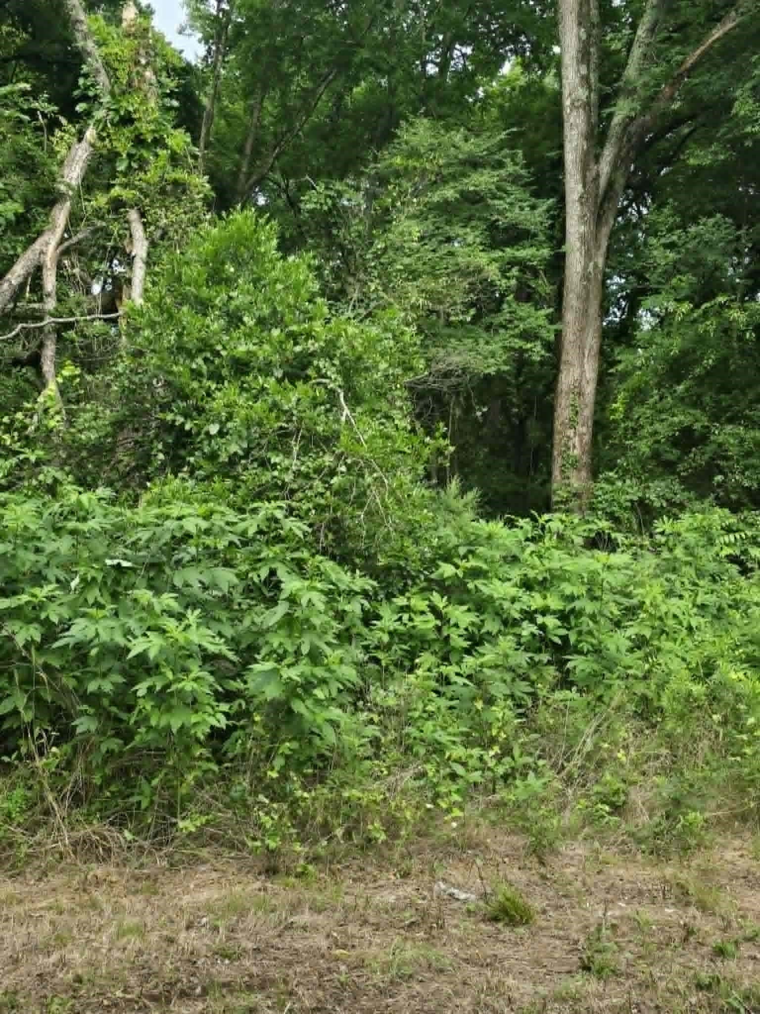 0.23 acres in Morris County