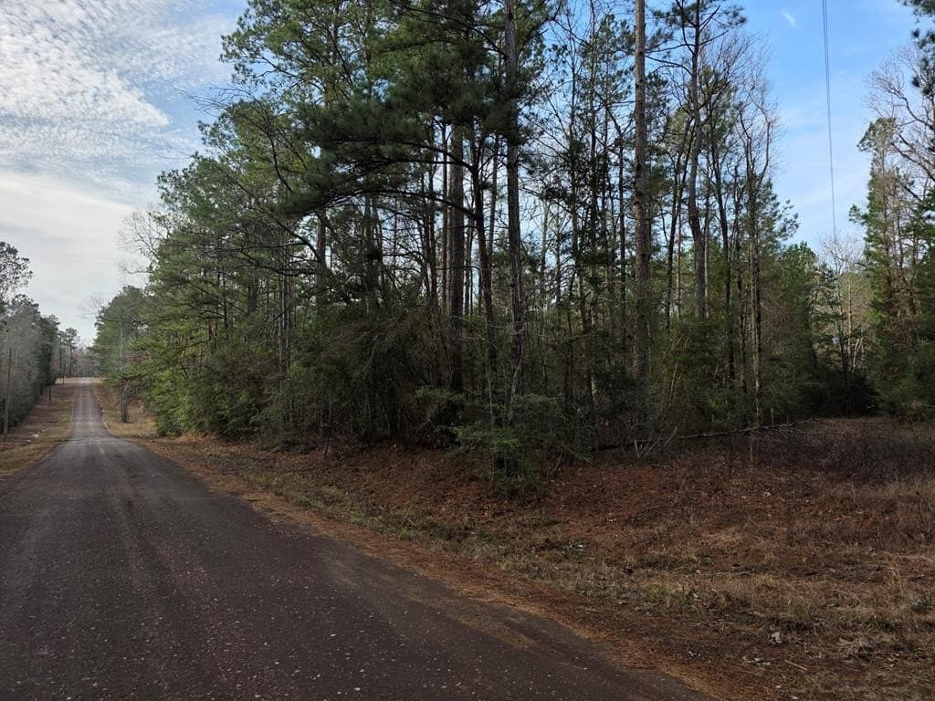 7.3 acres in Texas County