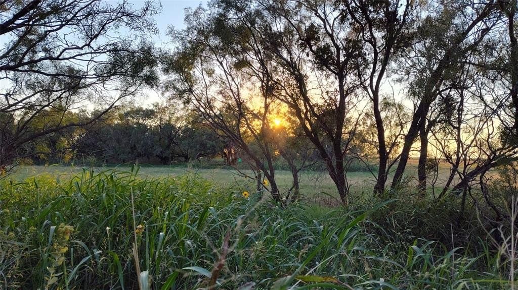 10 acres in Jones County