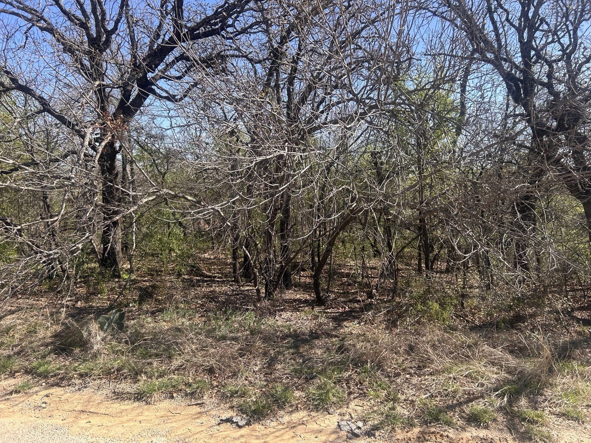 0.2 acres in Wise County