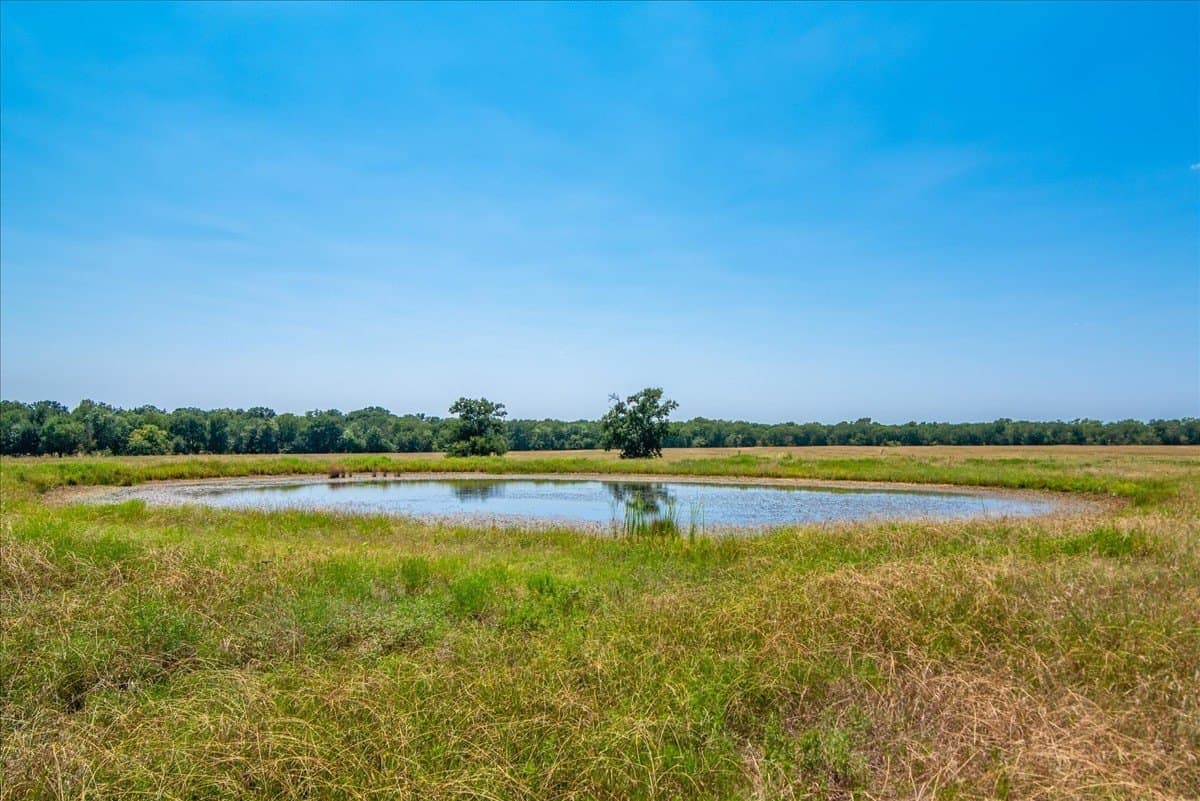 47.5 acres in Fannin County