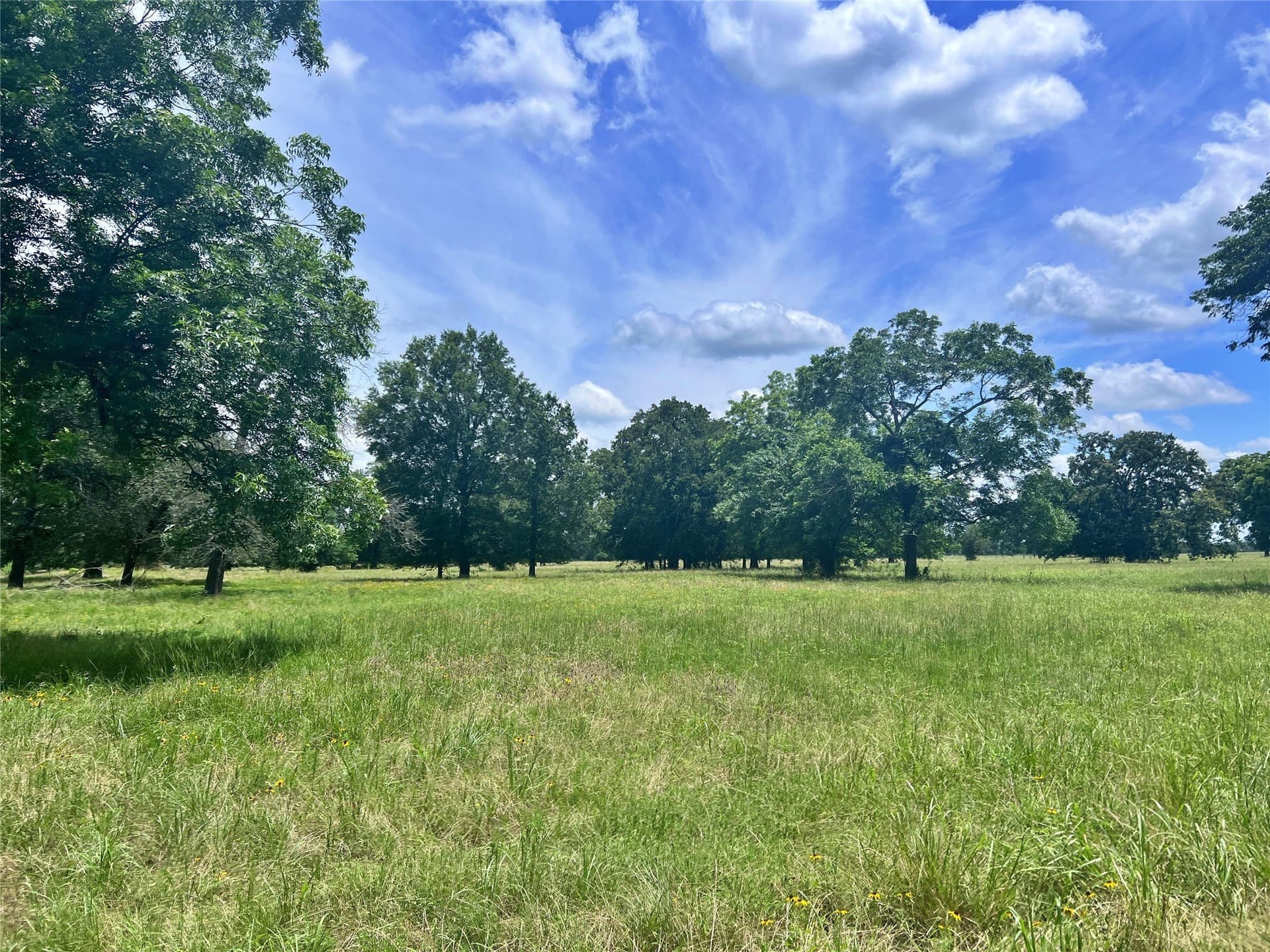 261.69 acres in Delta County