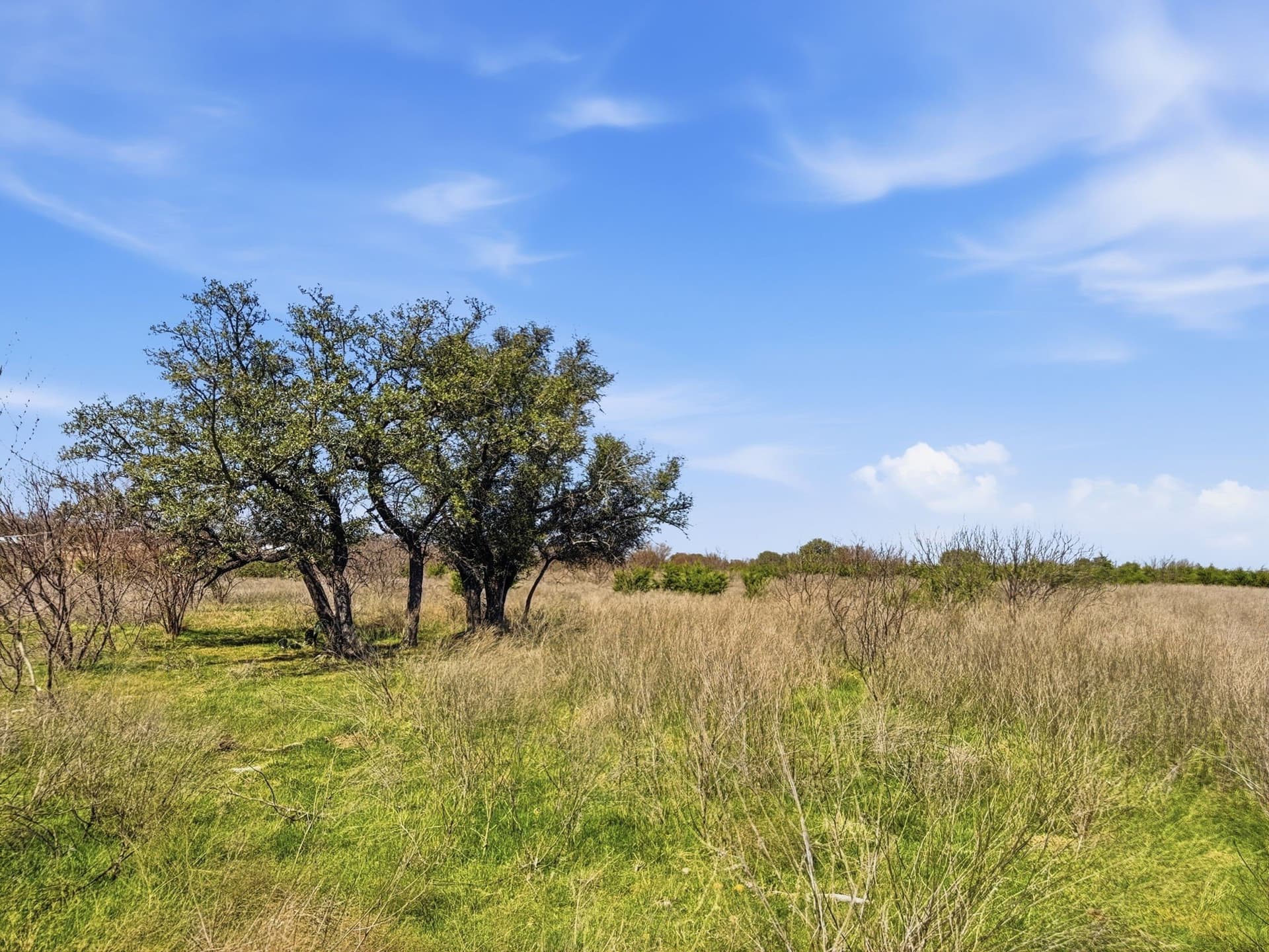 25.28 acres in Hamilton County