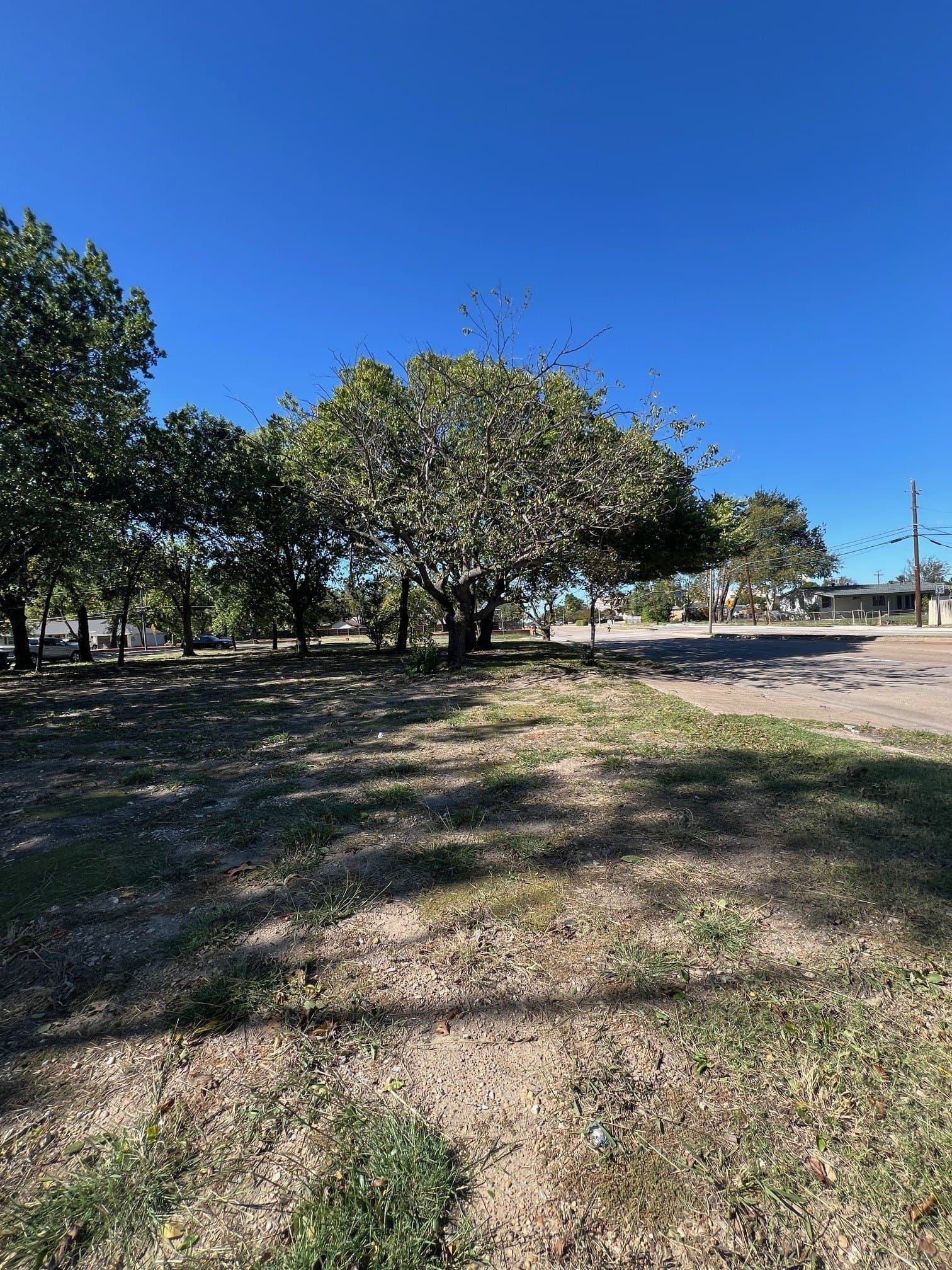 0.38 acres in Dallas County