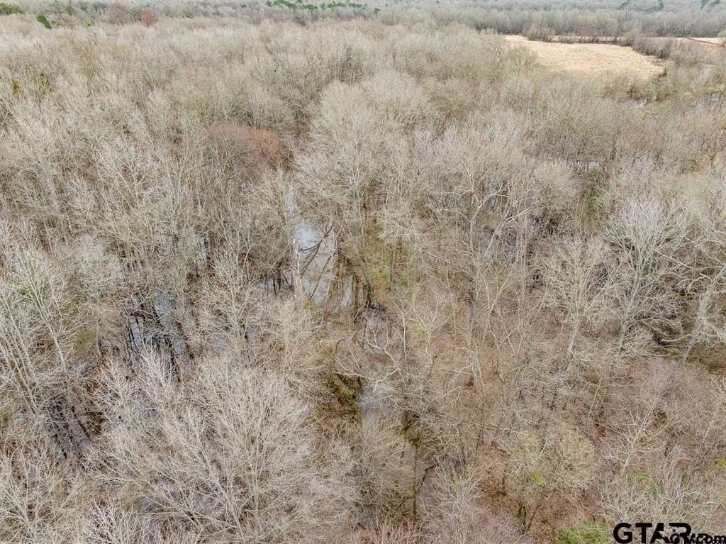 24.13 acres in Camp County