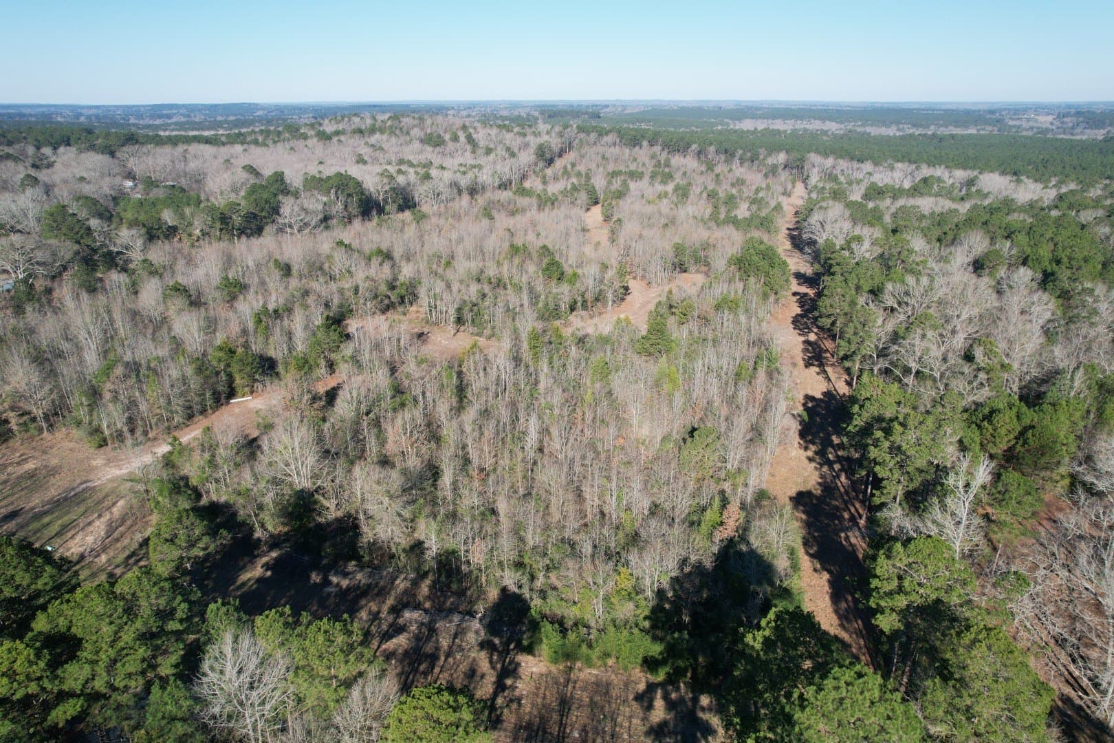 36.36 acres in Shelby County