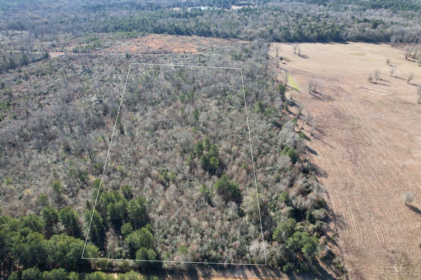 15.5 acres in Shelby County