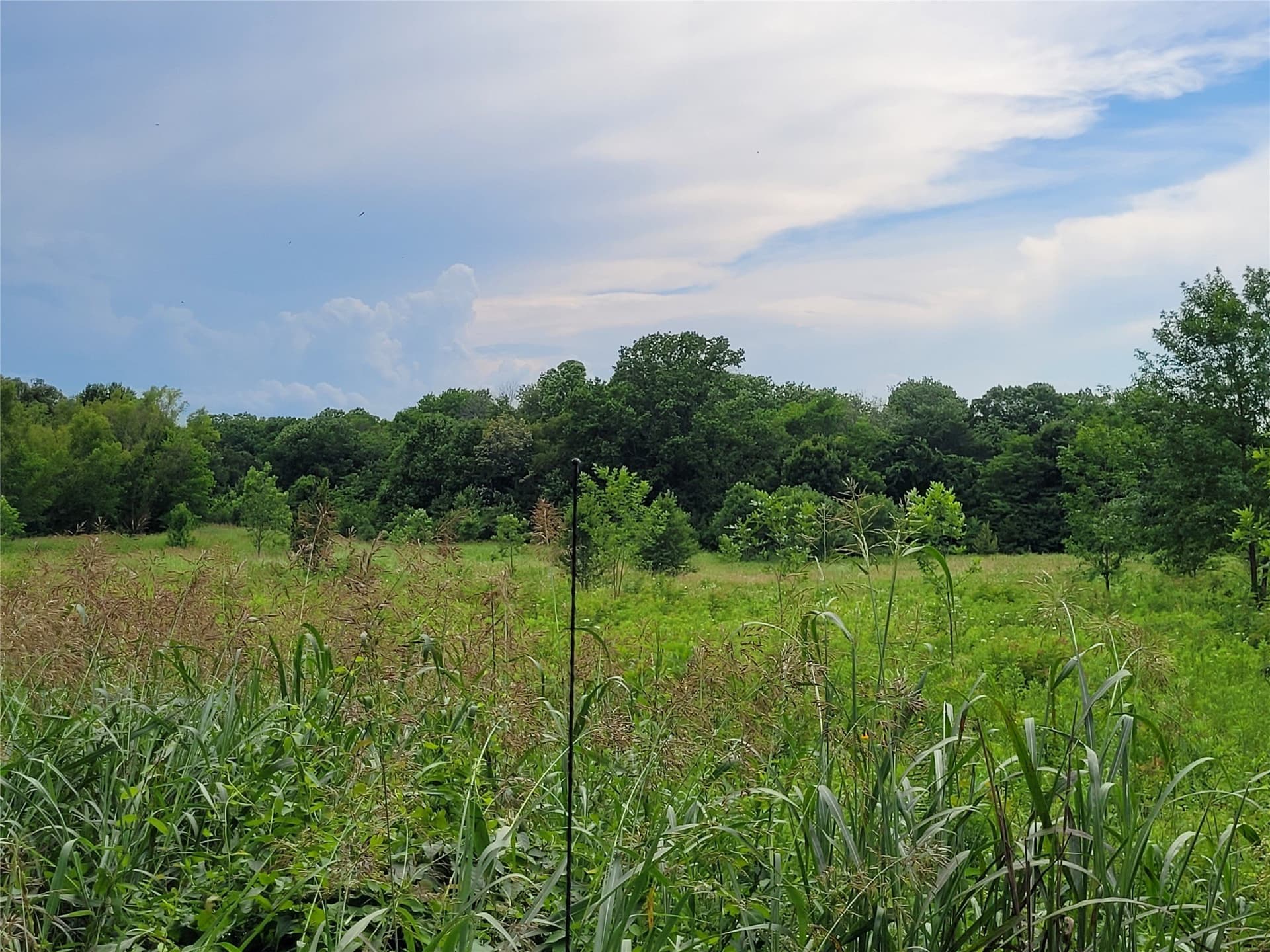 11.2 acres in Red River (TX) County