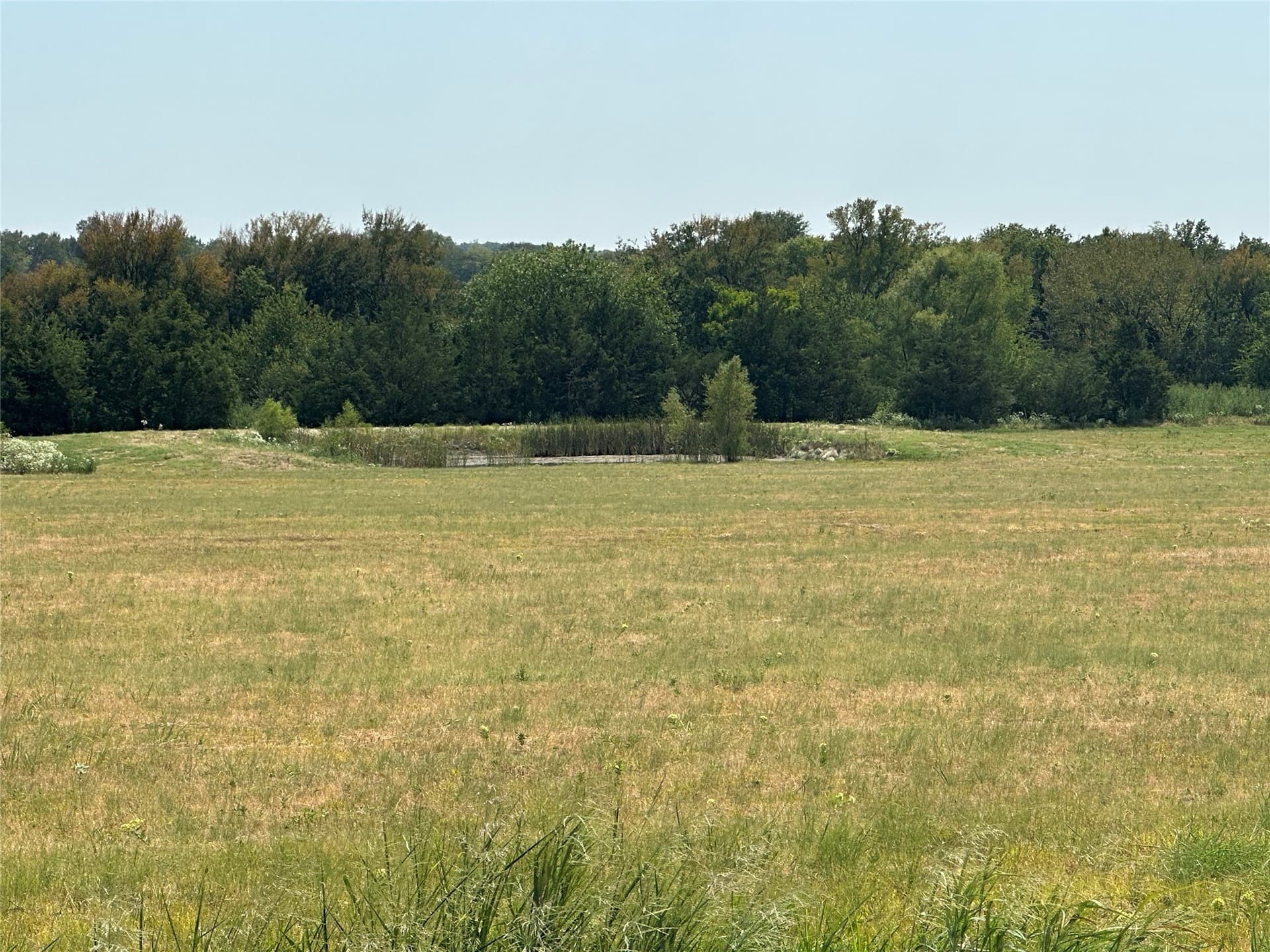 10 acres in Lamar County